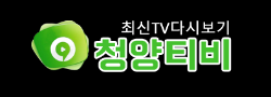 청양티비 청양티비