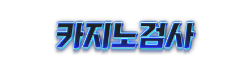 카지노검사
